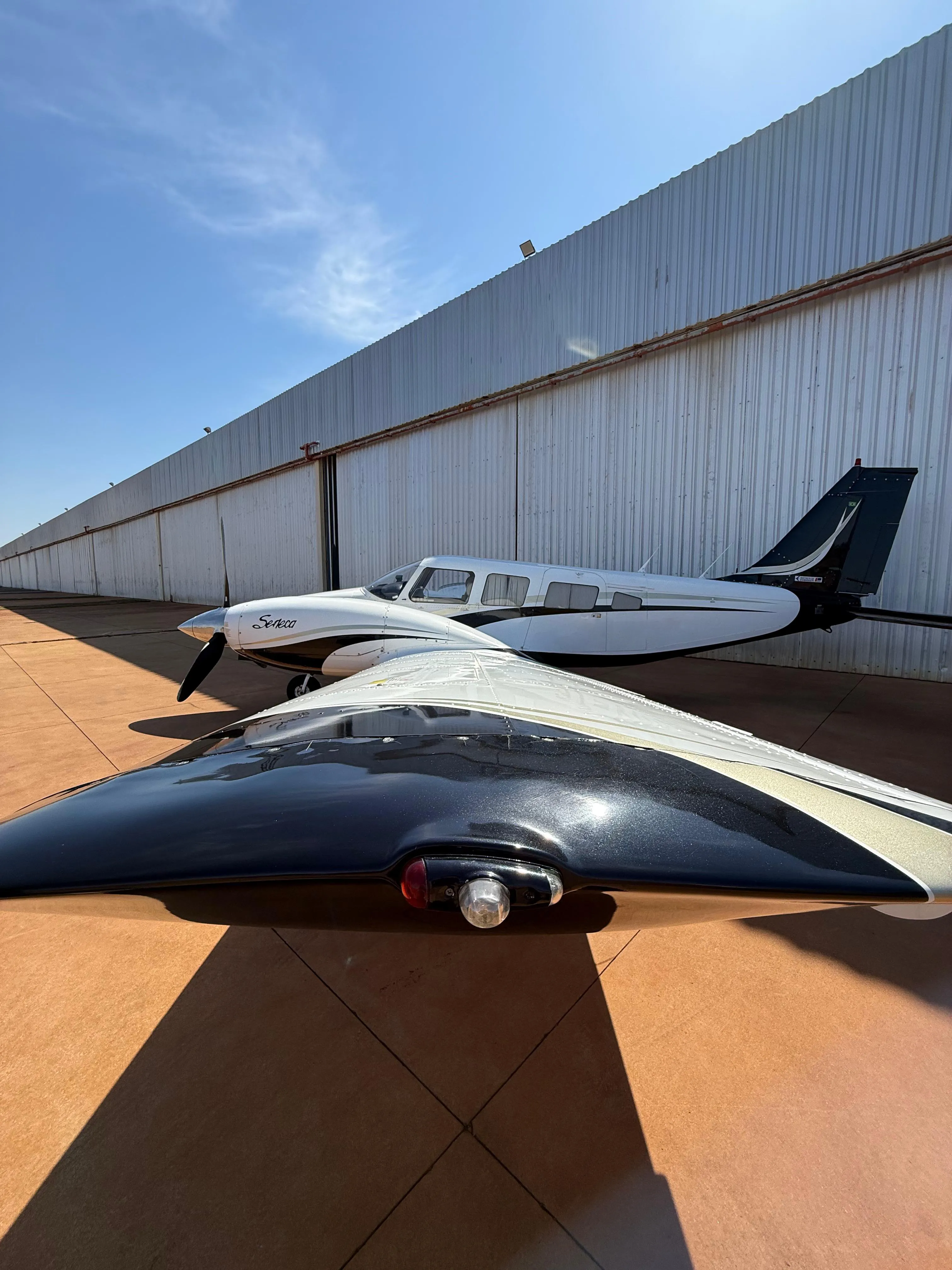 Neiva EMB-810D - foto 14