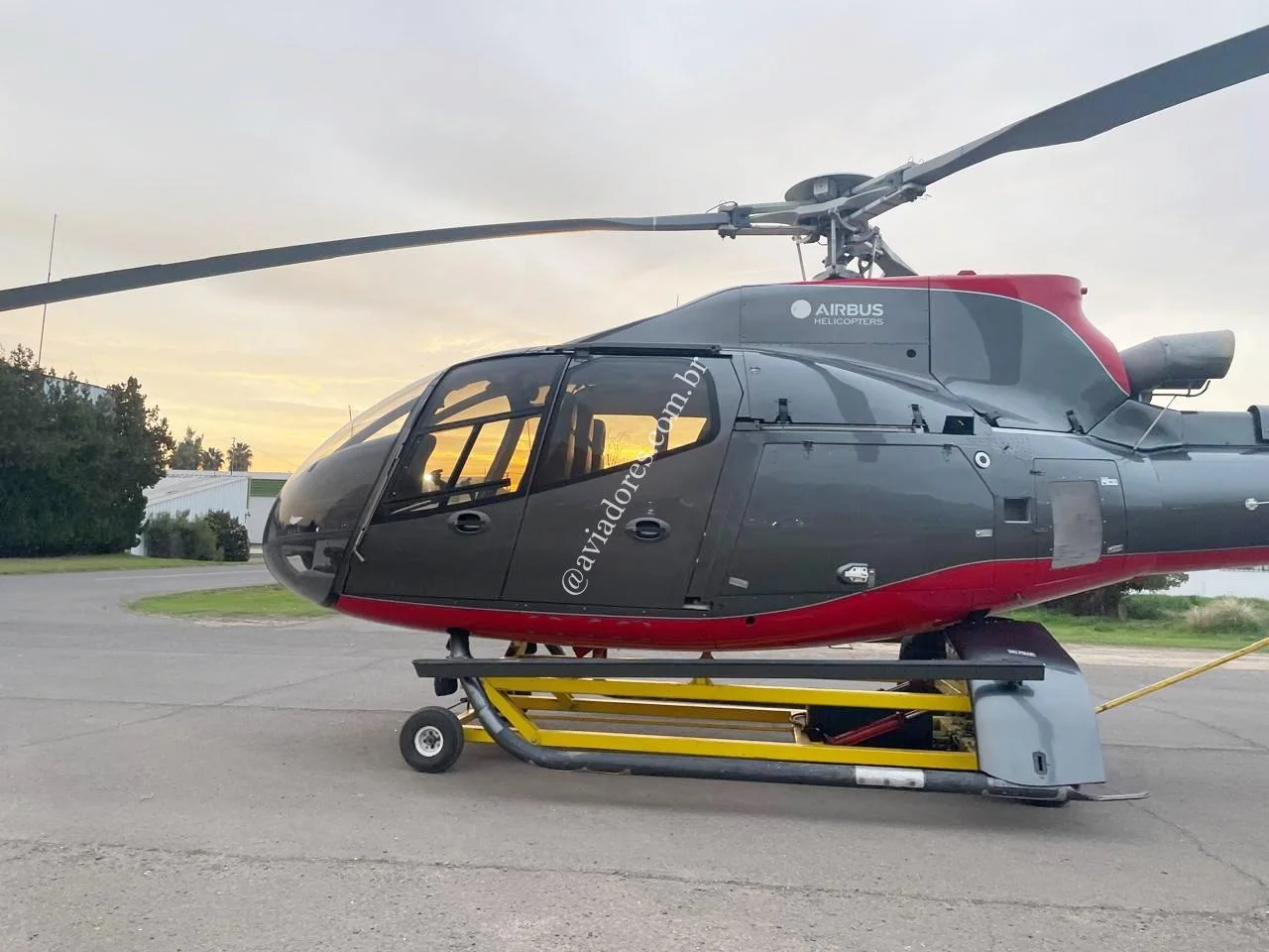 Airbus Helicopters EC130B4 - foto 2