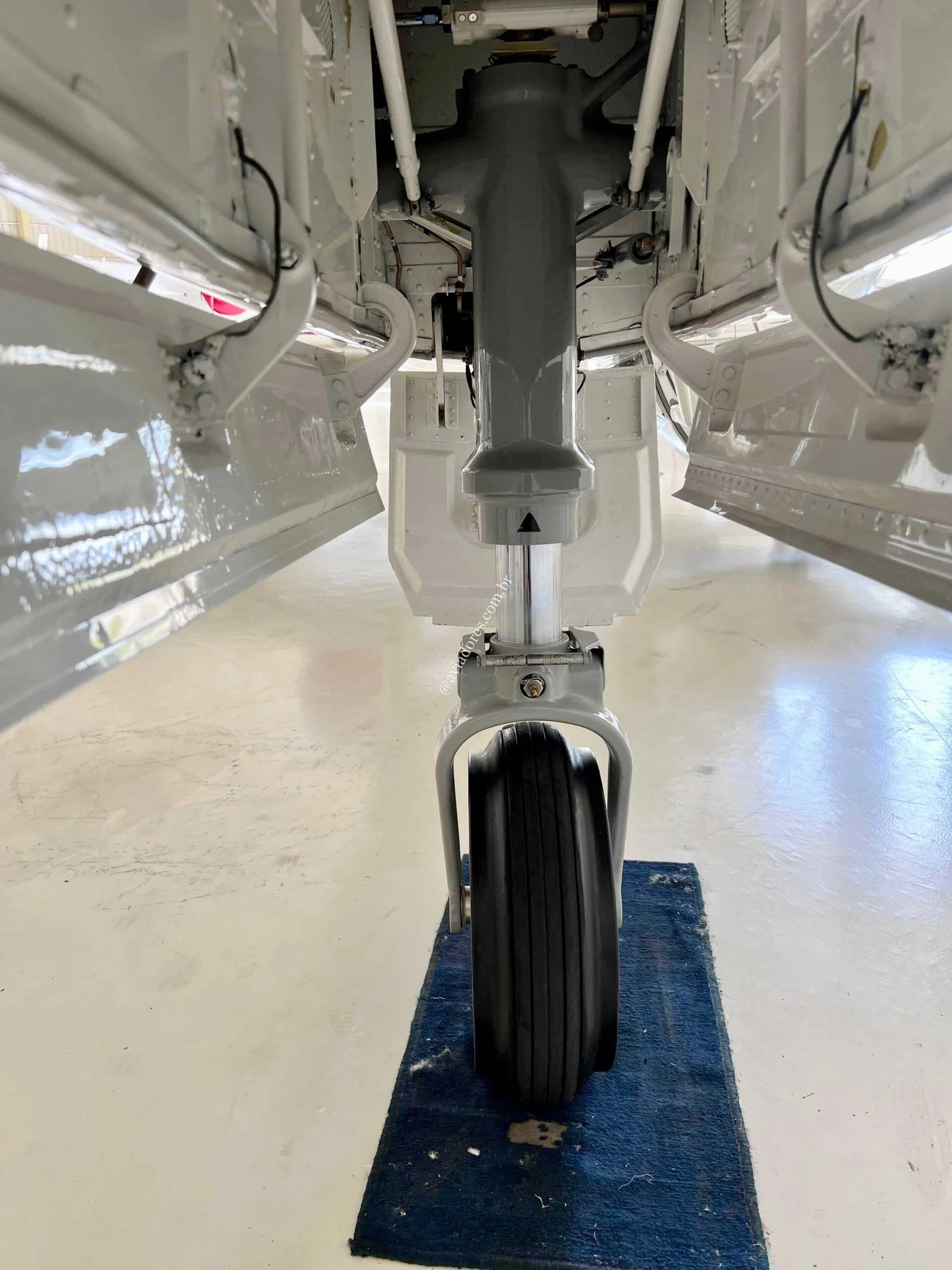 Cessna Aircraft CITATION EXCEL 560XL - foto 18
