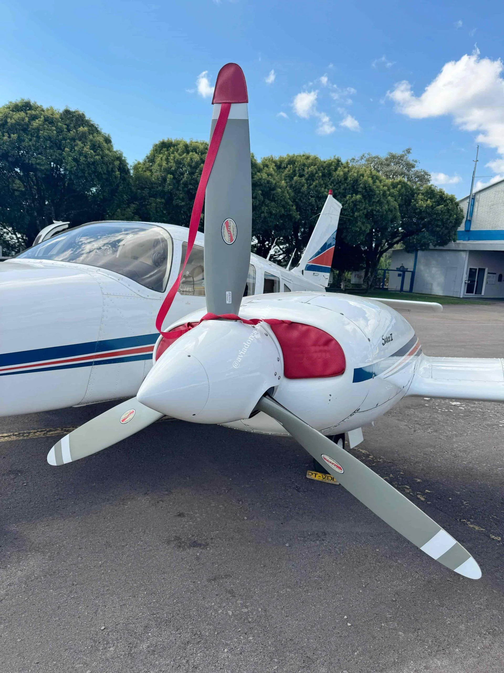 Embraer EMB-810D SENECA III - foto 14