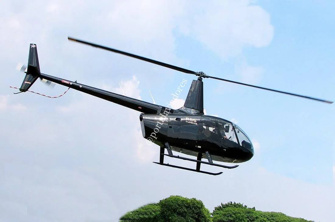 Robinson Helicopter R66 TURBINE - foto 2