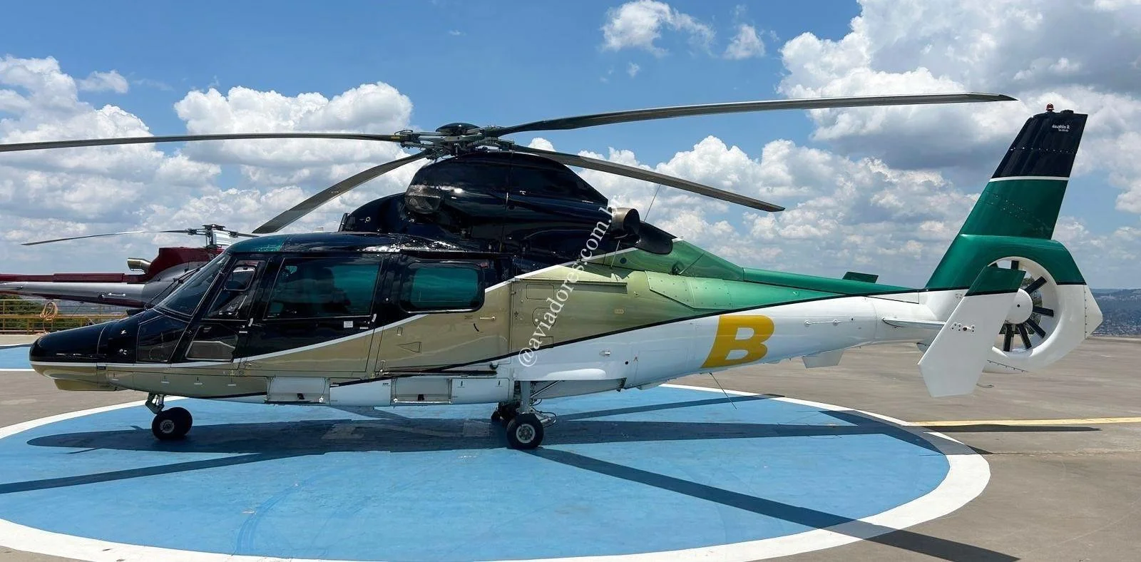 Airbus Helicopters AS365N3 DAUPHIN - foto 12