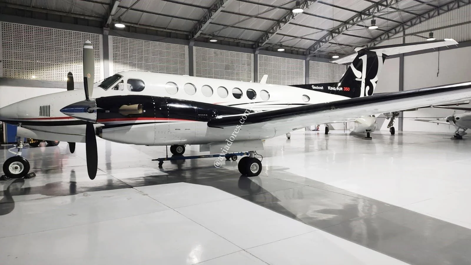 BEECHCRAFT CORPORATION KING AIR 350 - foto 4
