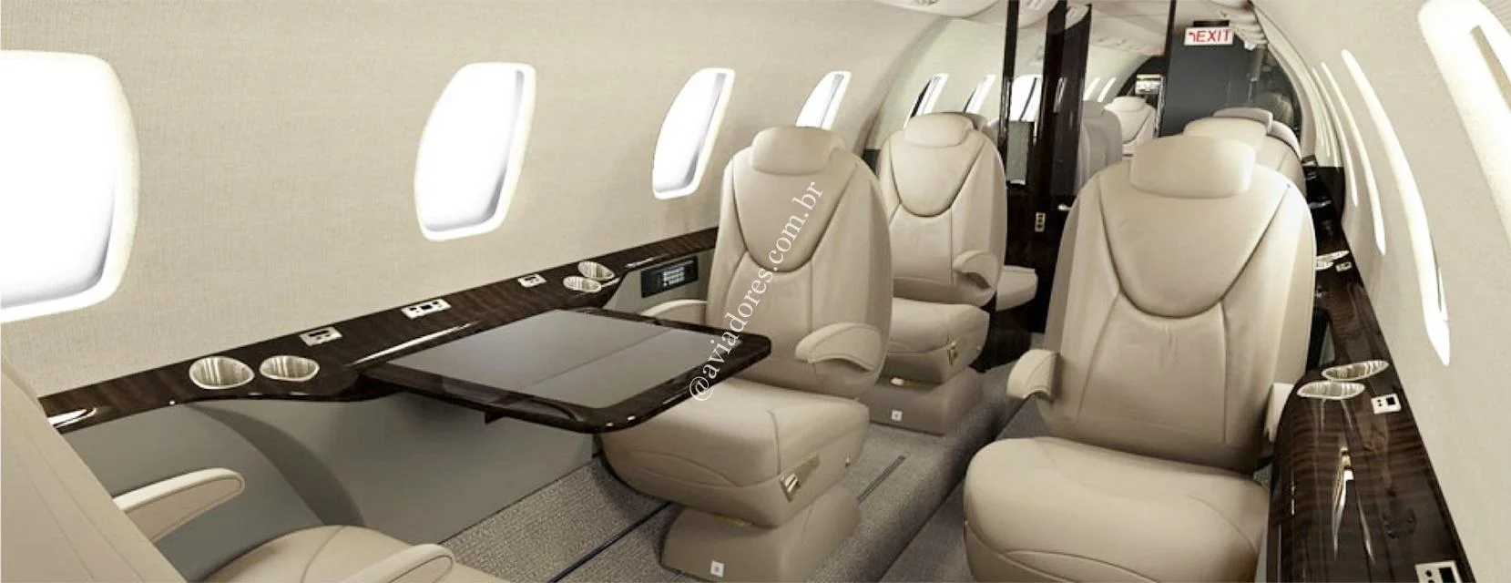 Cessna Aircraft CITATION C560 XLS+ - foto 5